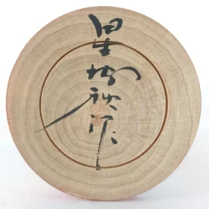 Hoshi Hiroaki (星博秋)